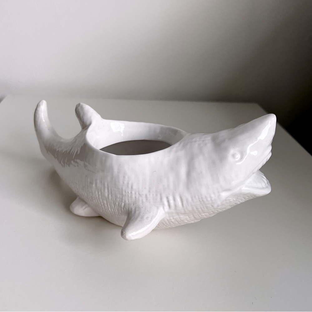 Succulent Shark Planter